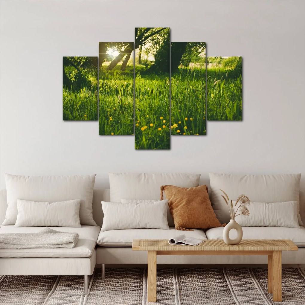 Tablou cu natura - lunca (150x105 cm)