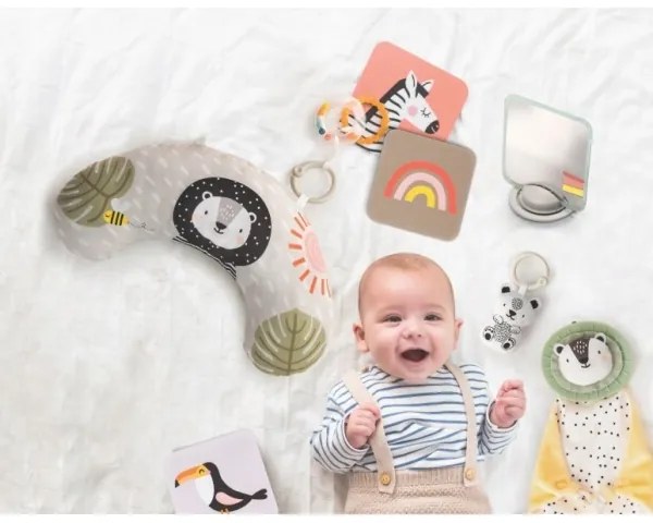 Cutie cadou HELLO BABY Taf Toys