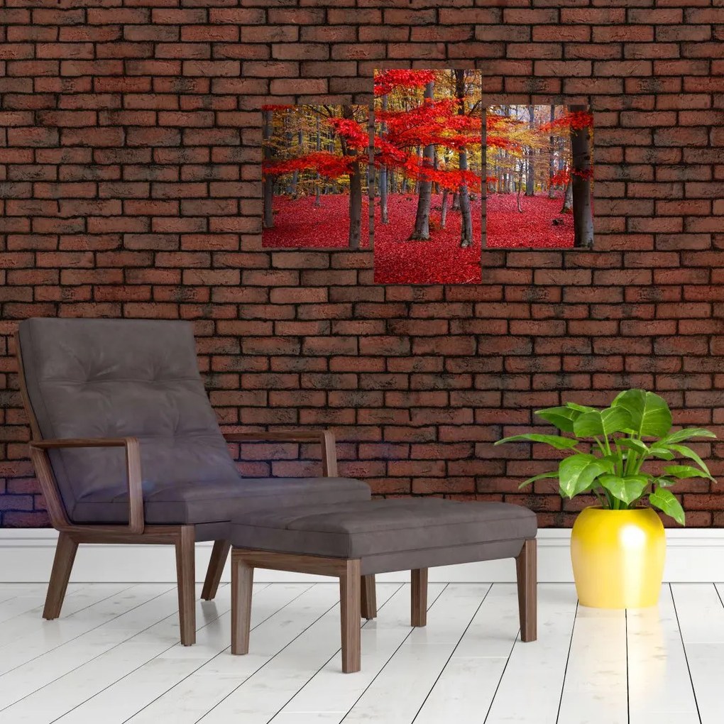 Tablou - Pădurea roșie (90x60 cm)