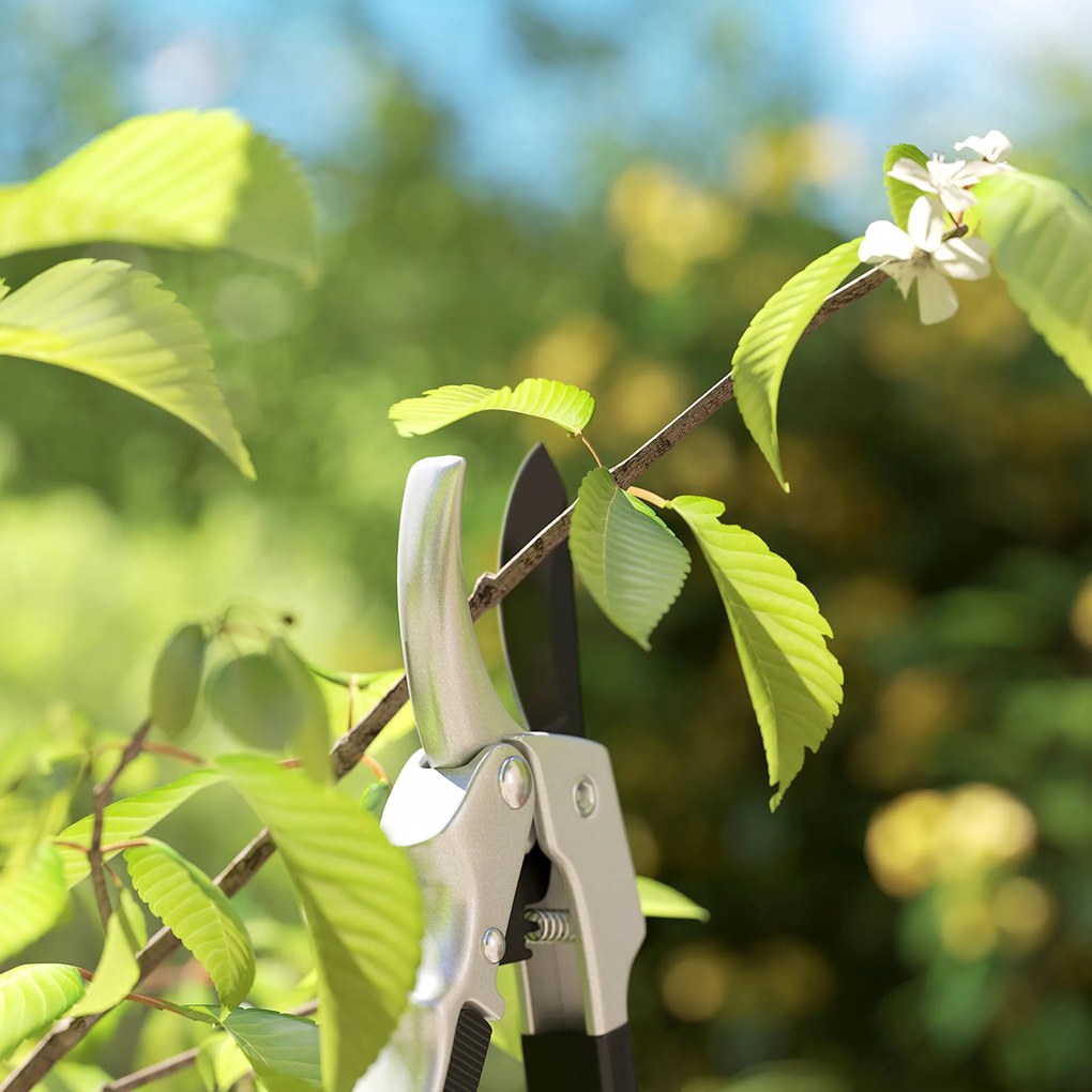Outsunny Set de 3 foarfece pentru grădină, set de tăiere pentru grădinărit, cu lamă ascuțită, din metal și aluminiu, argintiu negru | Aosom Romania