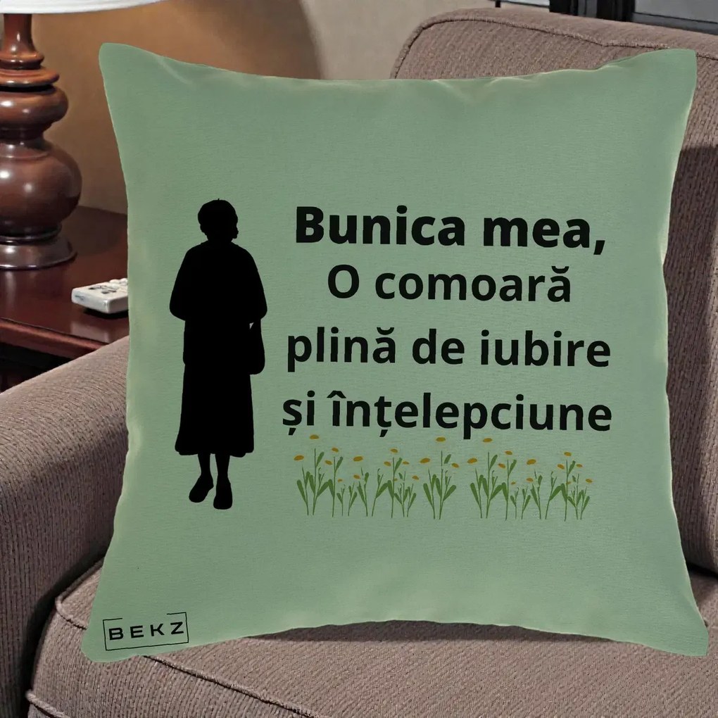 Cadou pentru Bunica - Perna Personalizata Bunica Mea Comoara Iubire Intelepciune Silueta cu Nepoata, 40x40 cm, Verde, Husa Detasabila, Perna Inclusa, BEKZ®