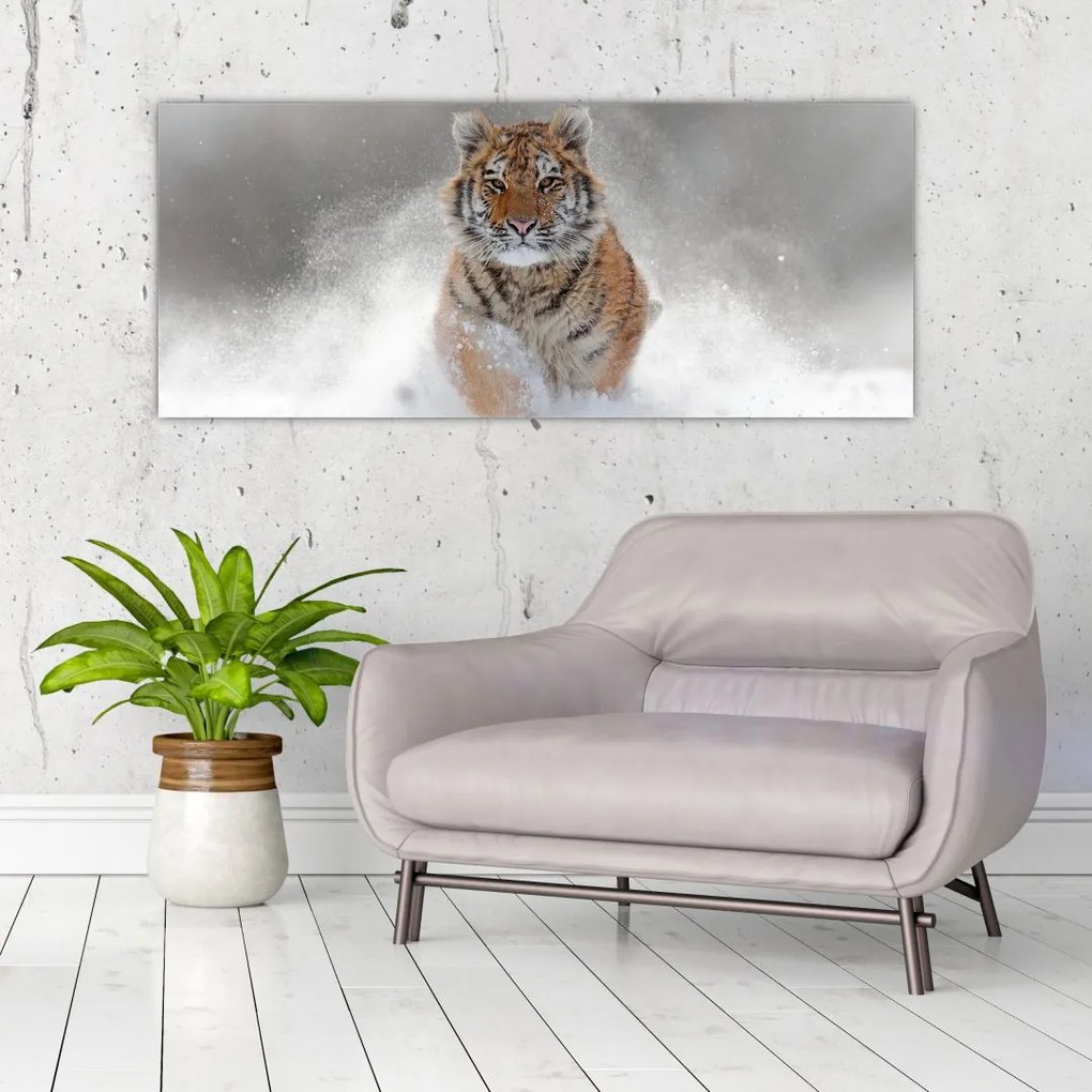 Tablou cutigru fugind prin zăpadă (120x50 cm)