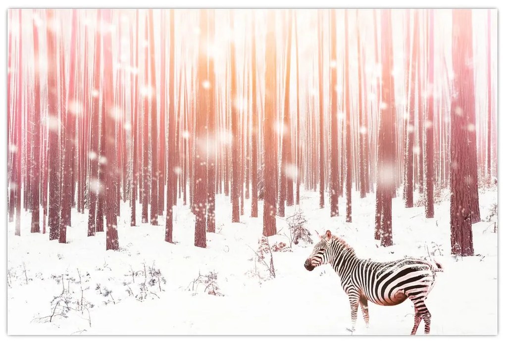 Tablou - Zebra în pădurea înzăpezită (90x60 cm)