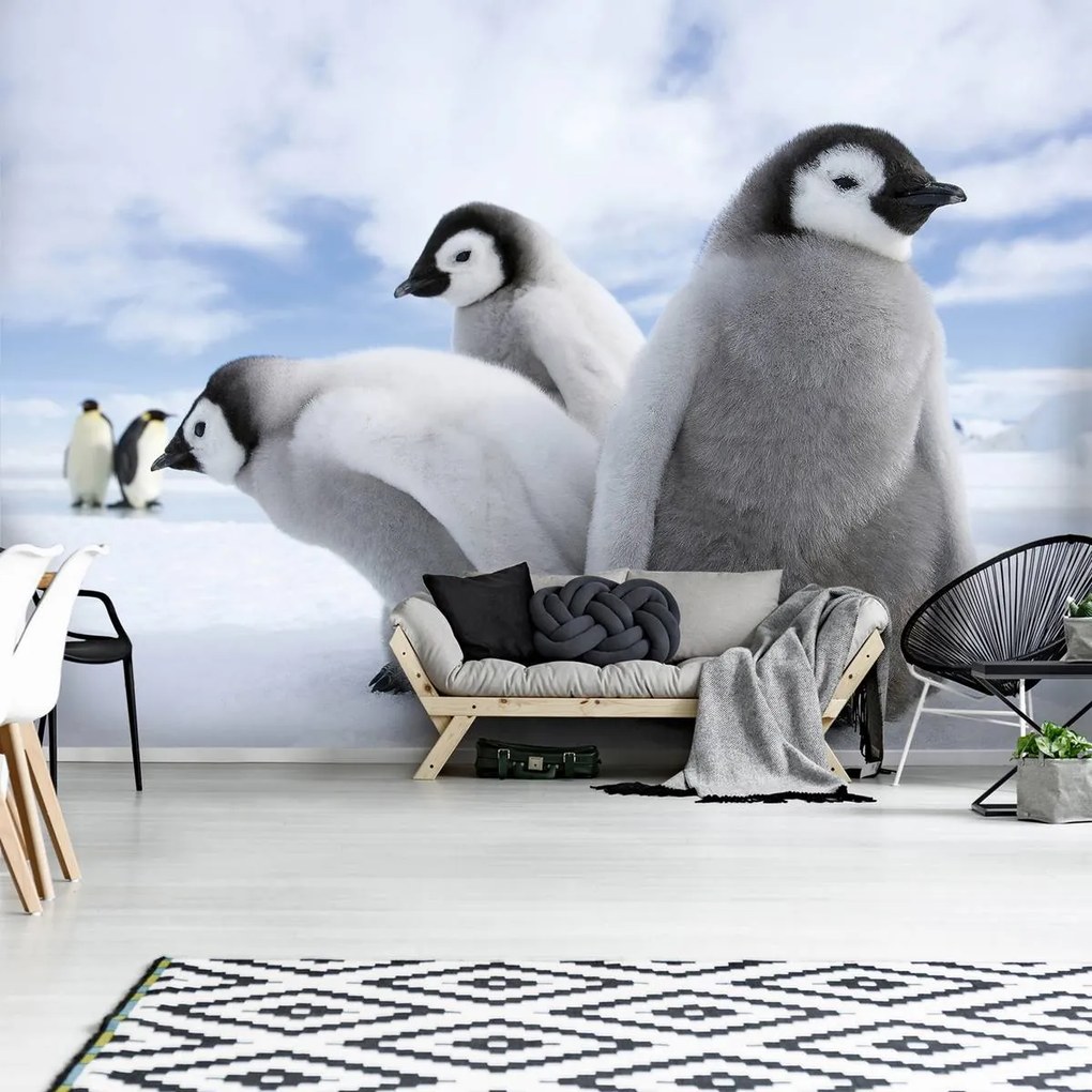 Fototapet - Pinguini (254x184 cm)