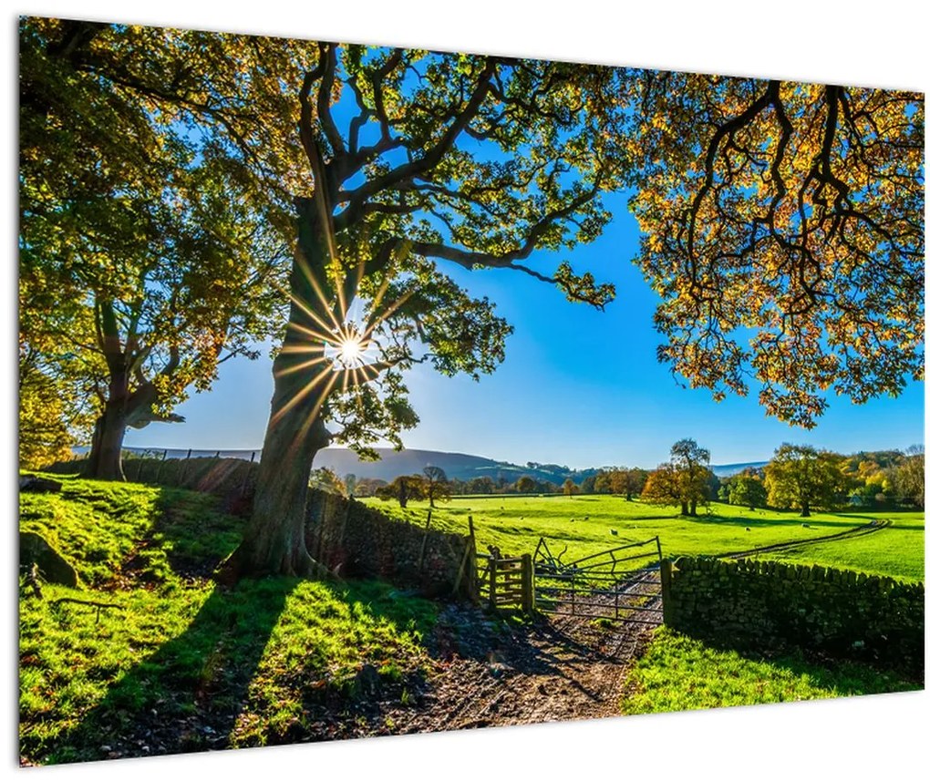 Tablou Privire la câmp (90x60 cm)