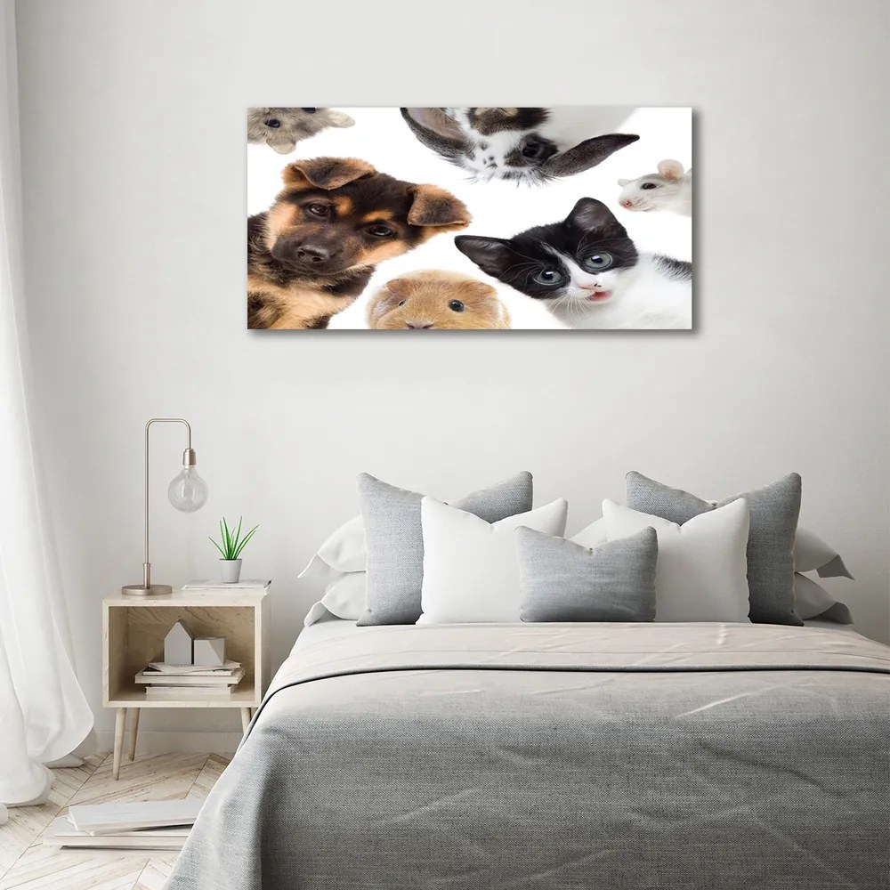 Tablou canvas Animale de companie