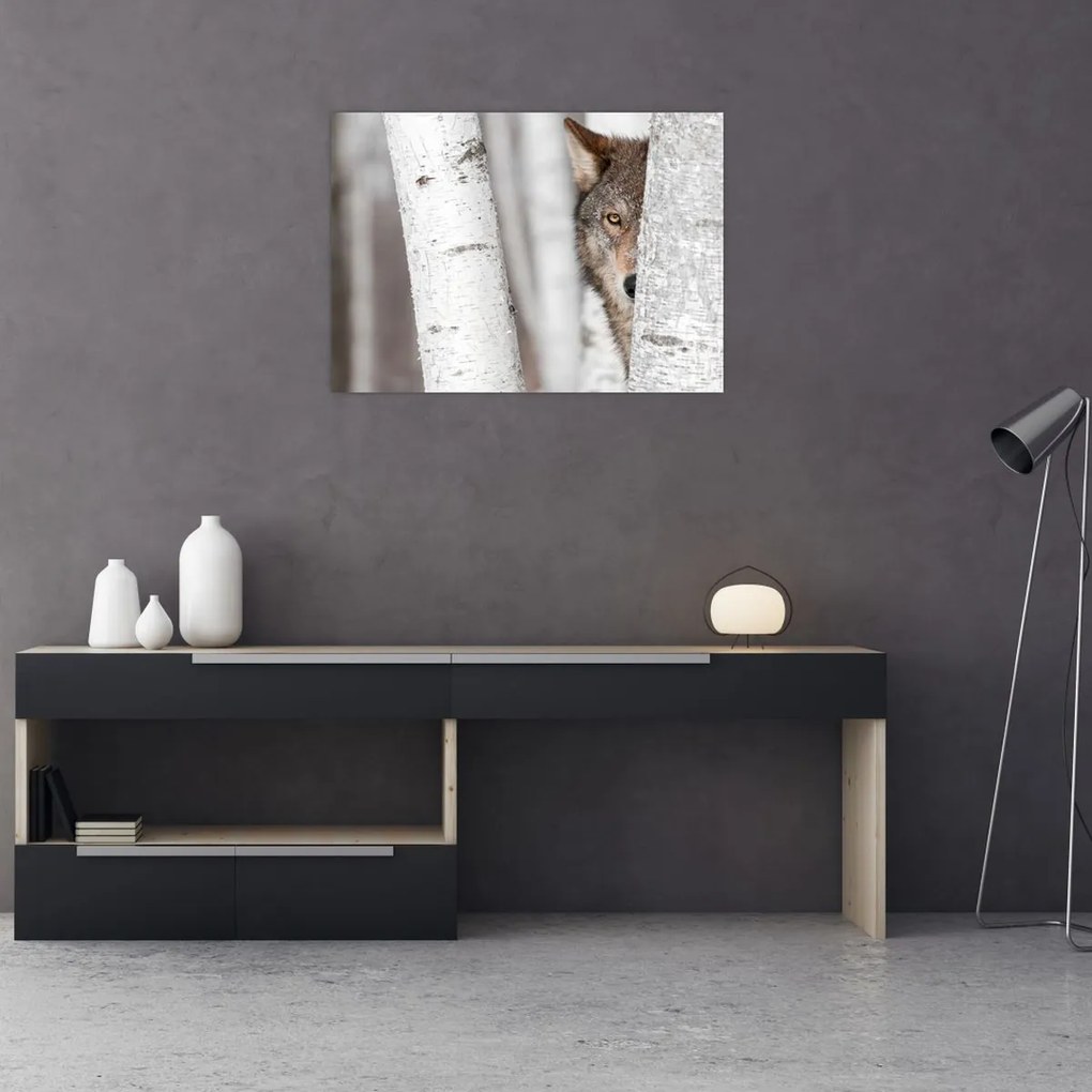 Tablou - Lup (70x50 cm)