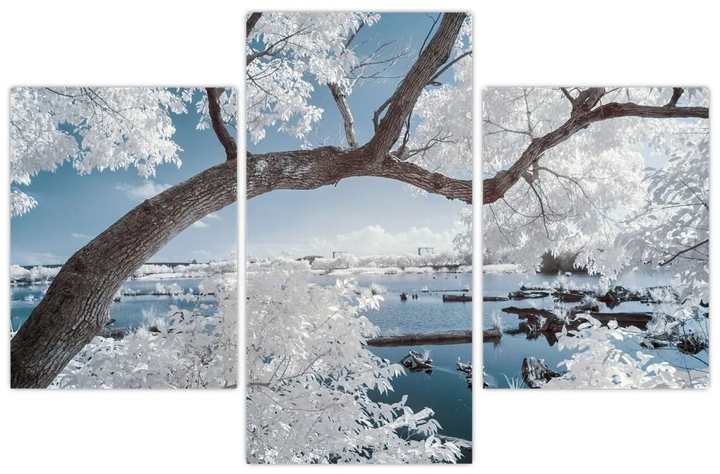 Tablou cu copac înzăpezit lângă apă (90x60 cm)