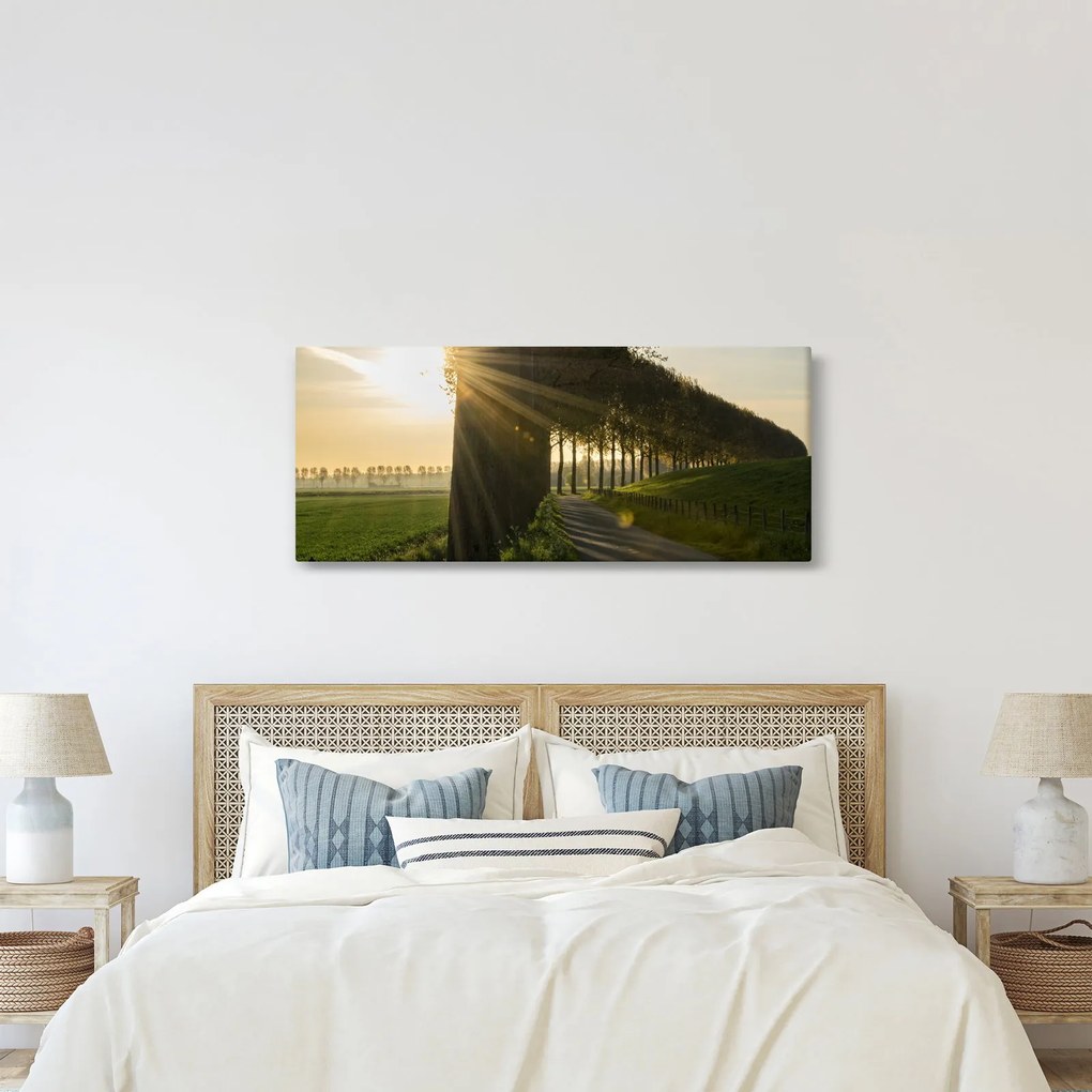 Tablou cu alee (120x50 cm)
