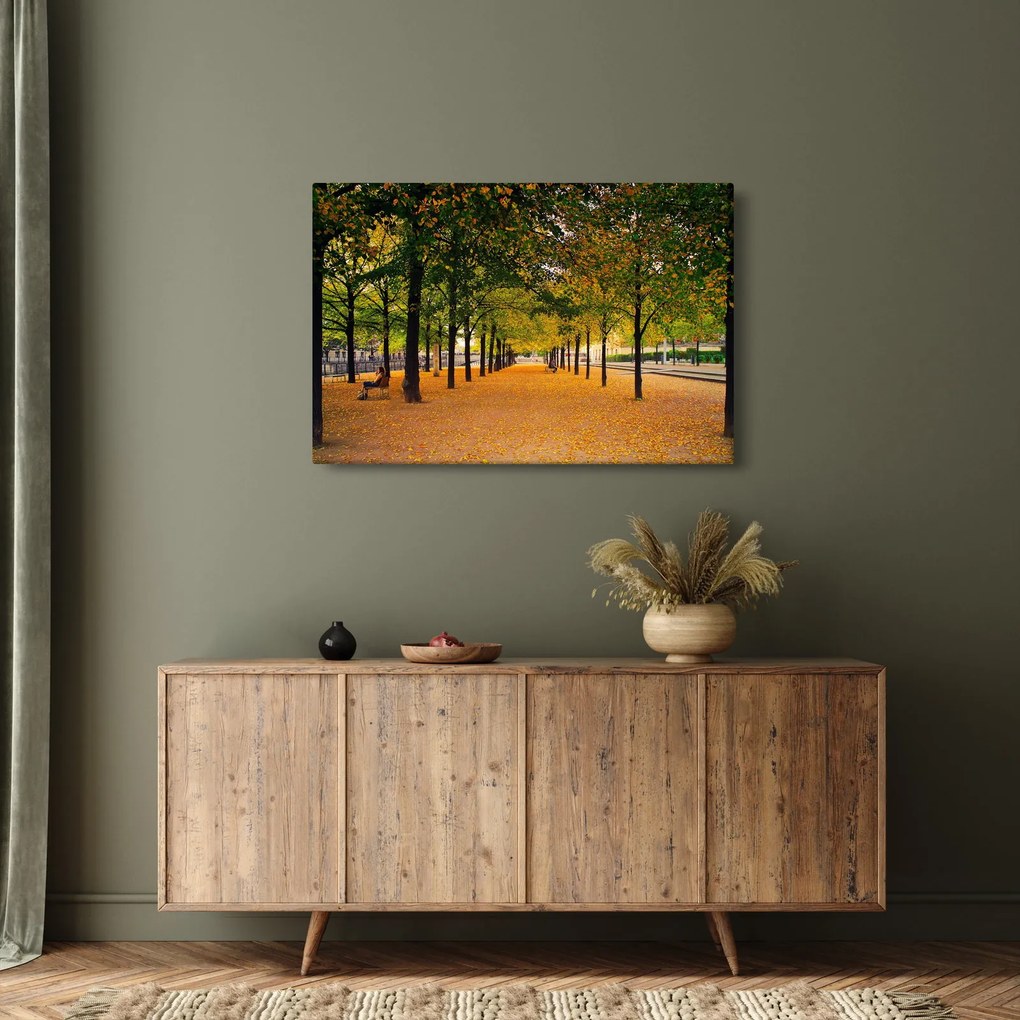 Tablou cu alee cu copaci în toamnă (90x60 cm)