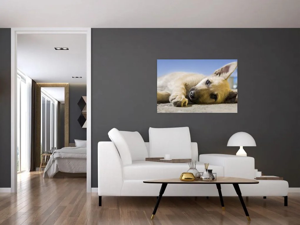 Tablou cu cățeluș dormind (90x60 cm)