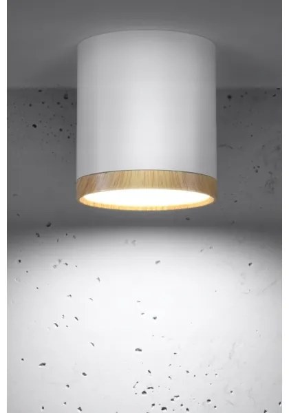 LED Plafonieră TUBA LED/5W/230V alb/bej