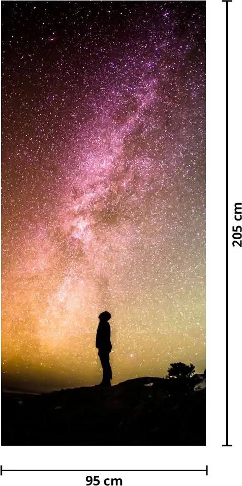 Fototapet pentru ușă - Cer plin de stele (95x205cm)