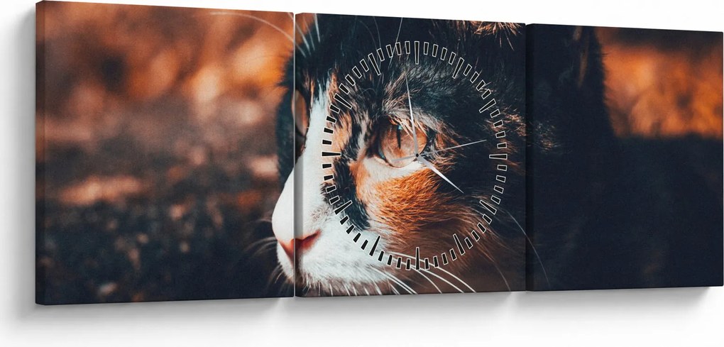 Tablou - Privirea pisicii (cu ceas) (90x30 cm)
