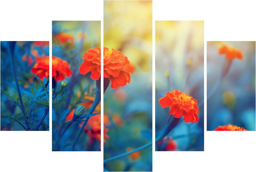 Tablou - Flori portocalii (150x105 cm)