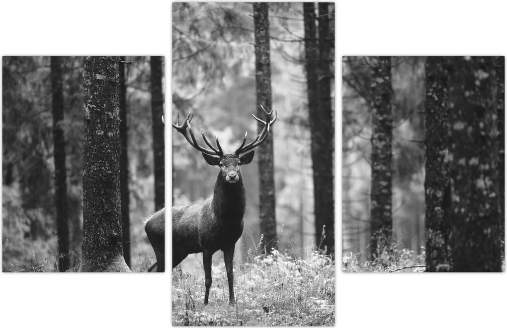Tablou - Căprioare in pădure 2,alb-negru (90x60 cm)