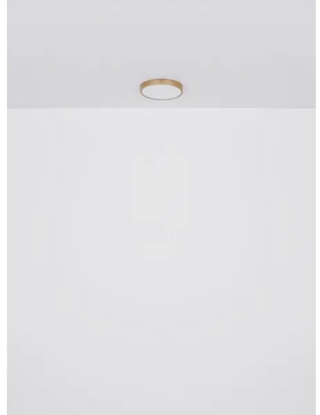 Plafonieră LED TIBEY LED/30W/230V d. 45 cm Globo 12381-30