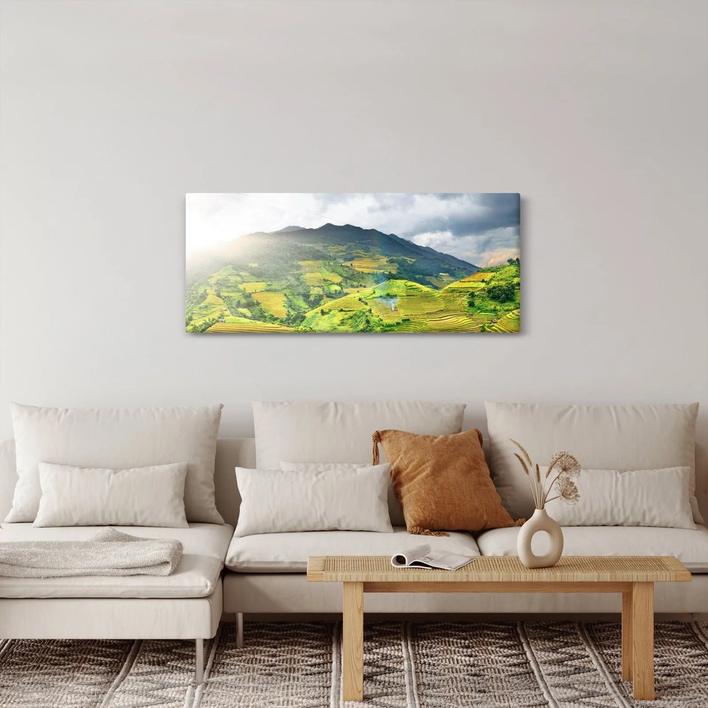 Tablou plantație (120x50 cm)