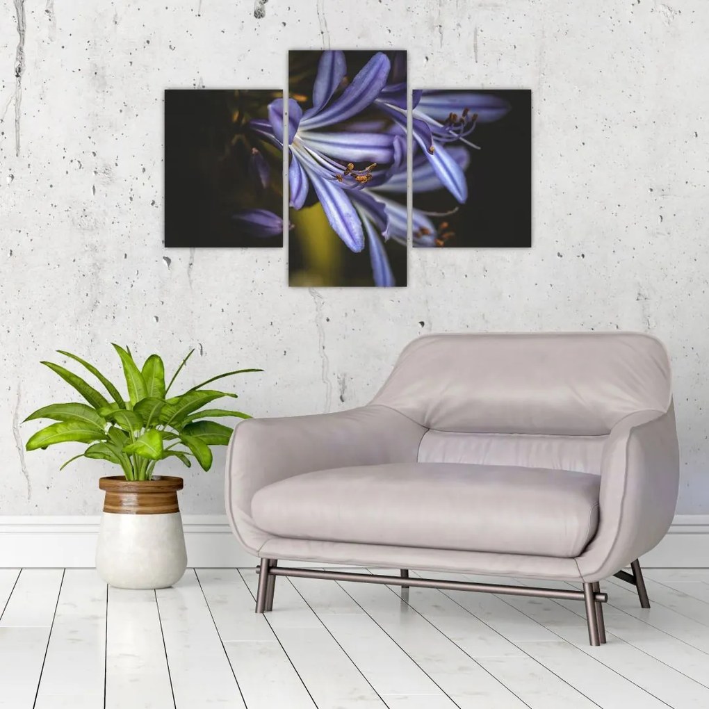 Tablou - Lila (90x60 cm)