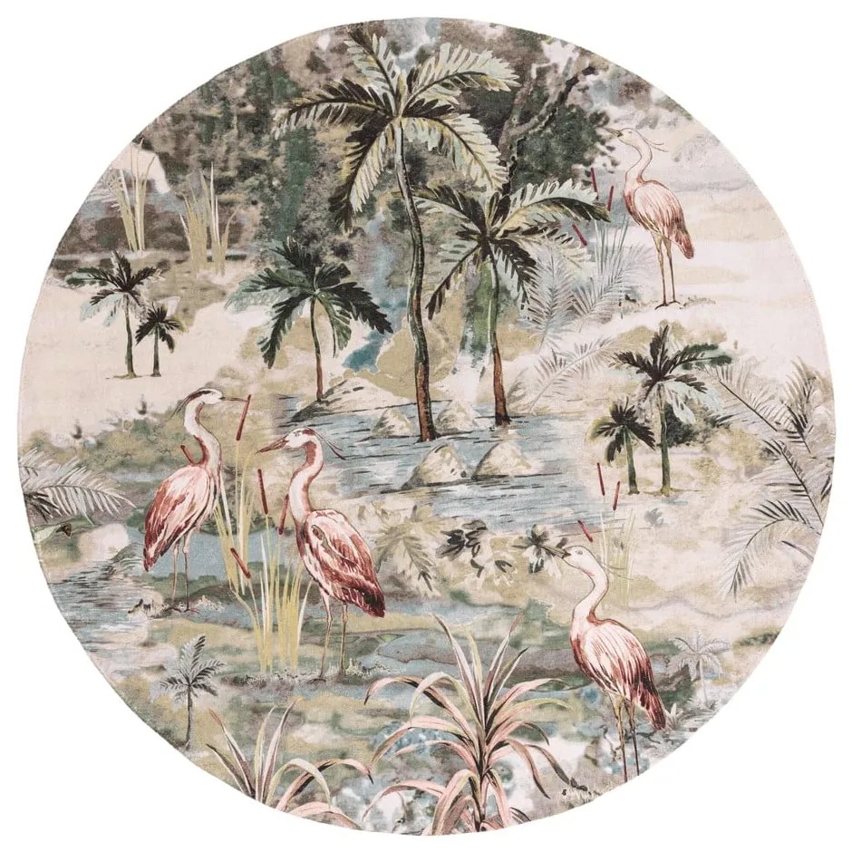 Covor rotund ø 160 cm Habitat – Asiatic Carpets