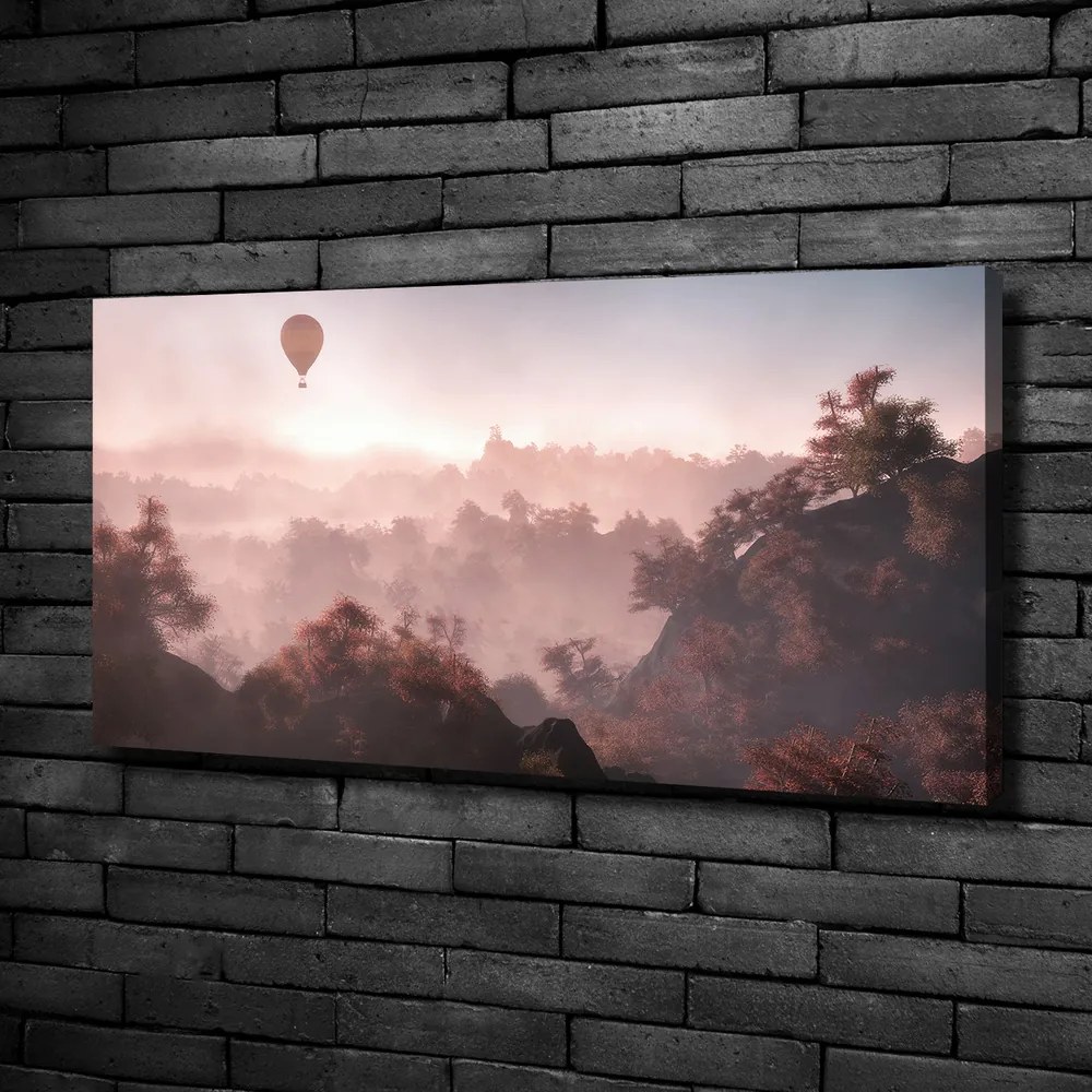 Tablou pe pânză canvas Balonul deasupra pădurii