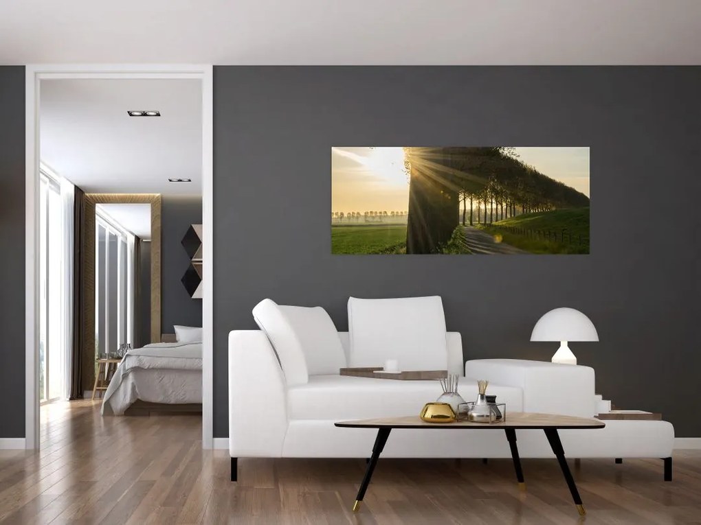 Tablou cu alee (120x50 cm)
