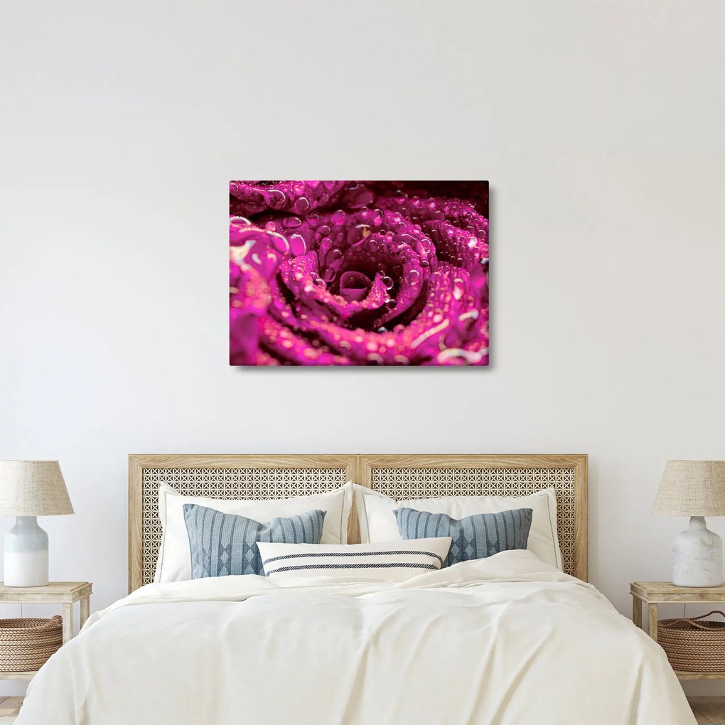 Tabloul cu floarea trandafirului roz (70x50 cm)