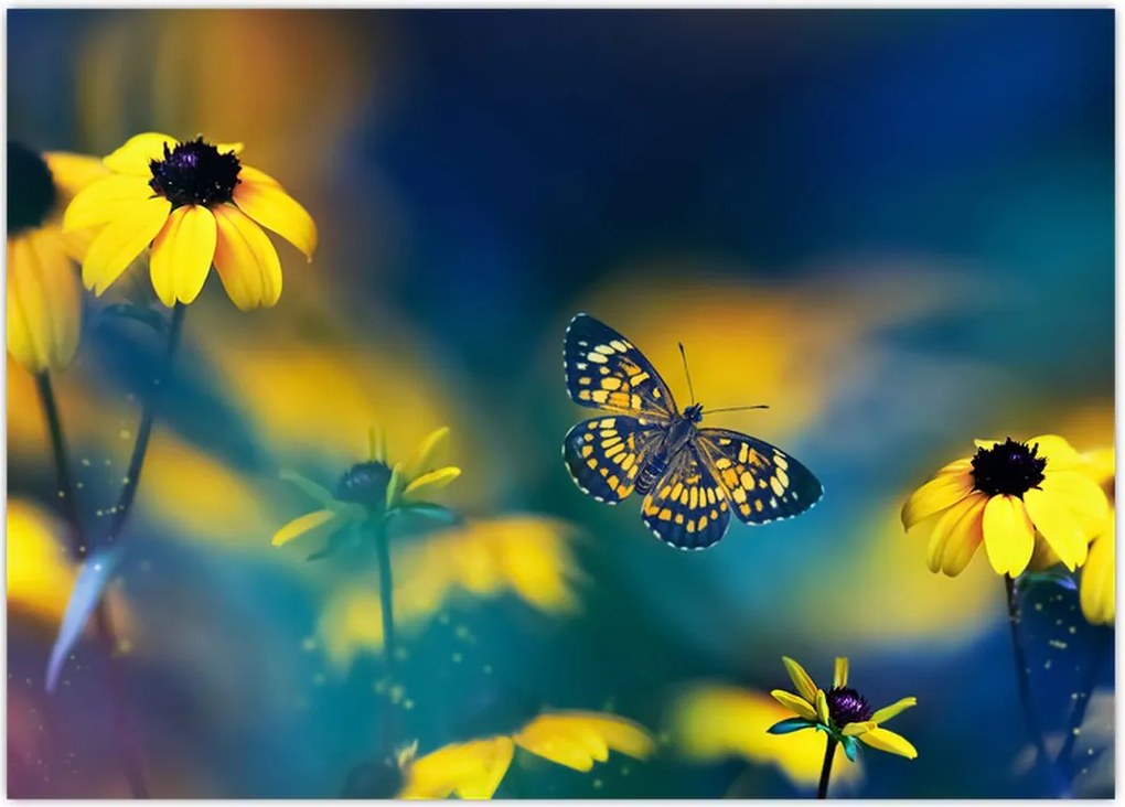 Tablou - Fluture galben și flori (70x50 cm)