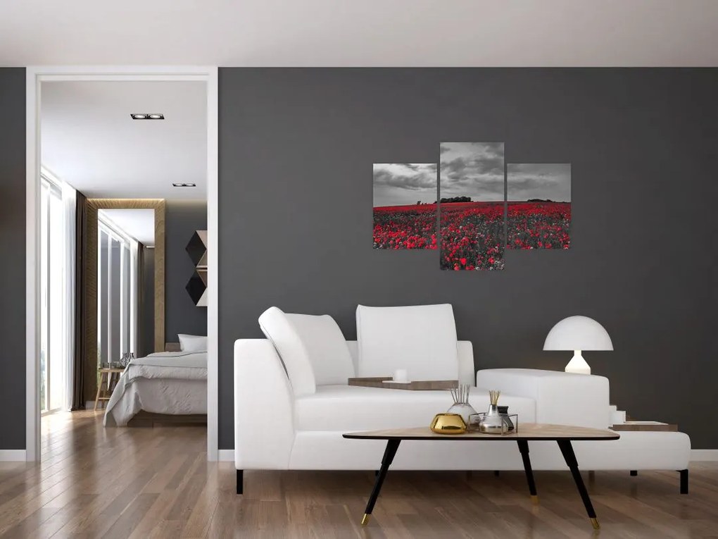 Tablou cu maci (90x60 cm)