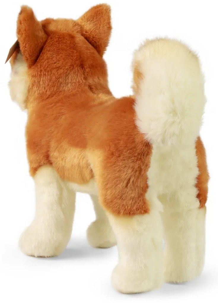 Rappa Câine de pluș Akita Inu 30 cm