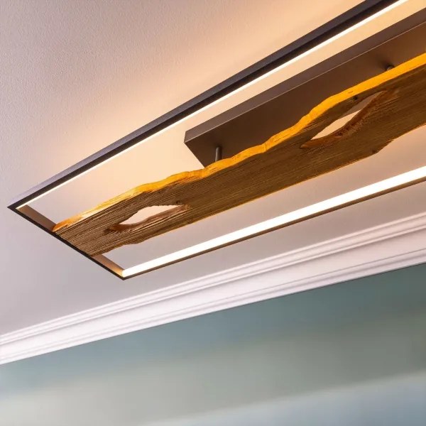 Plafonieră LED dimabilă Brilliant CHAUMONT LED/48W/230V