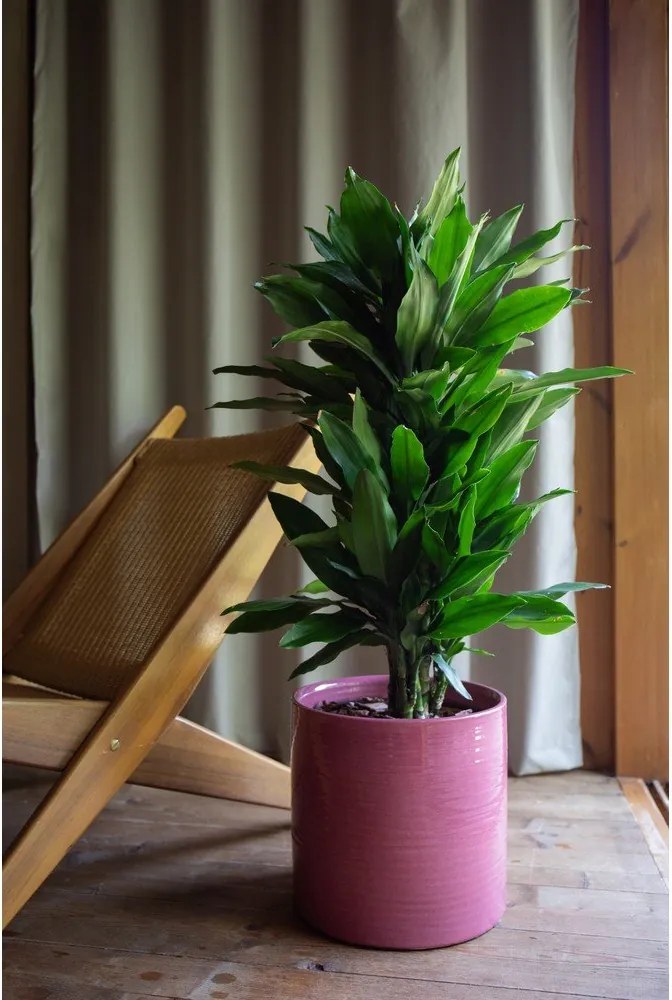 Ghiveci decorativ din ceramică handmade ø 25 cm Fortuna – Artevasi