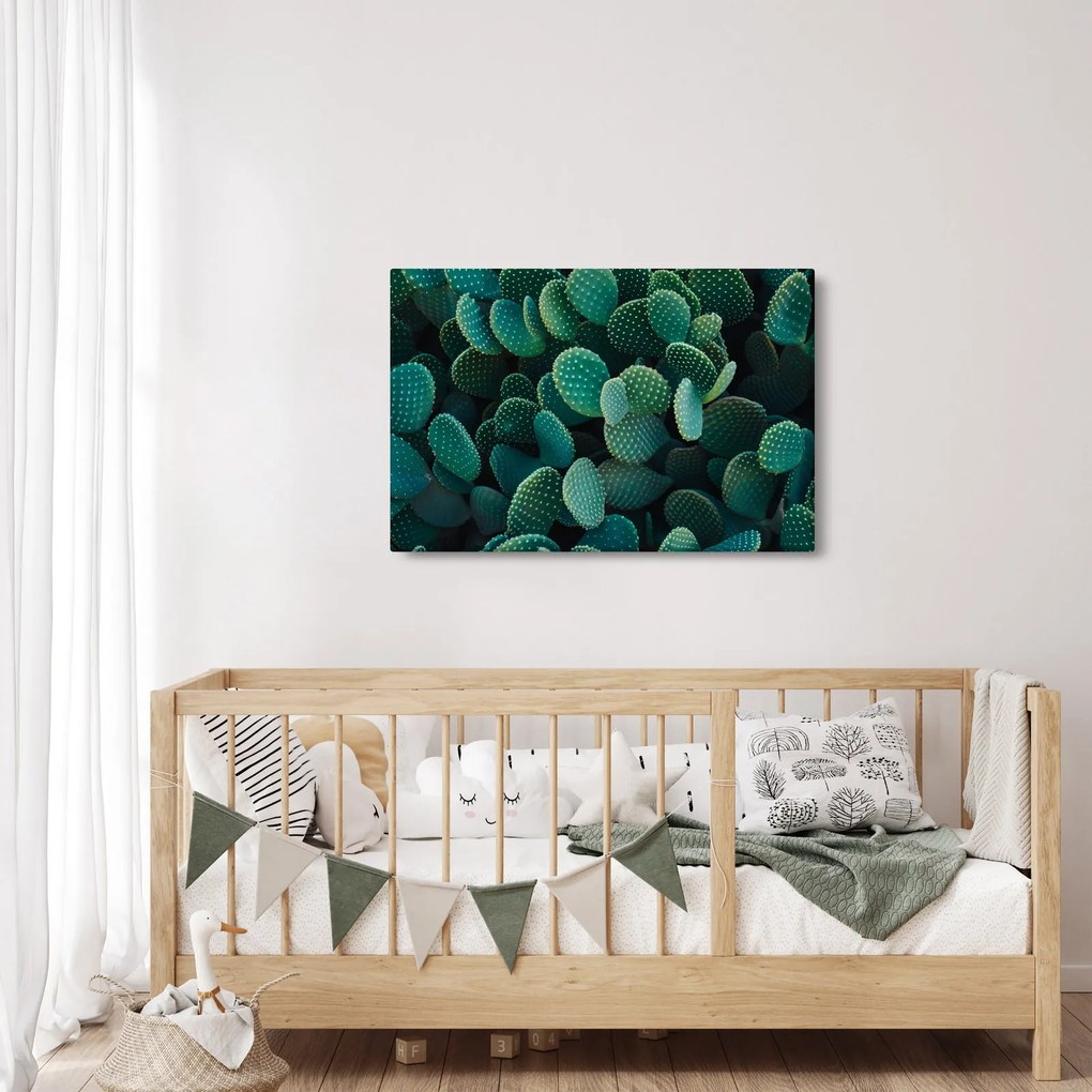 Tablou - Opuntia (90x60 cm)
