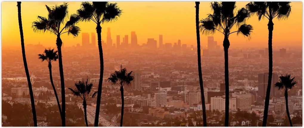 Tablou - Panorama din Los Angeles (120x50 cm)