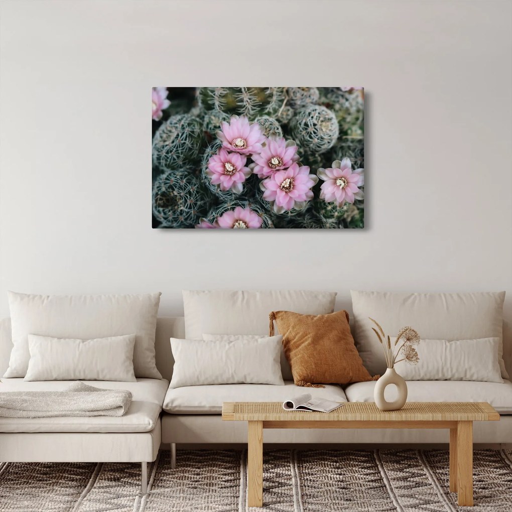 Tablou floare de cactus (90x60 cm)