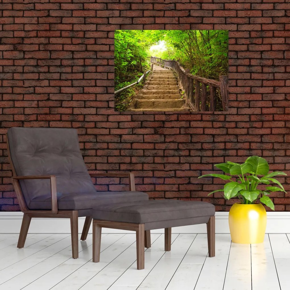 Tablou - Scări în natură (70x50 cm)