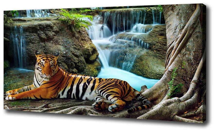 Tablou canvas Tigru cascadă