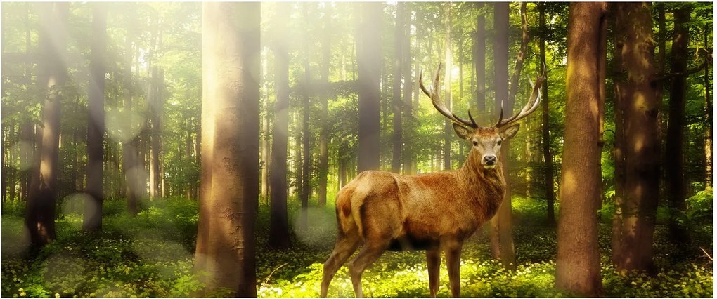 Tablou cu cerbul în pădure (120x50 cm)