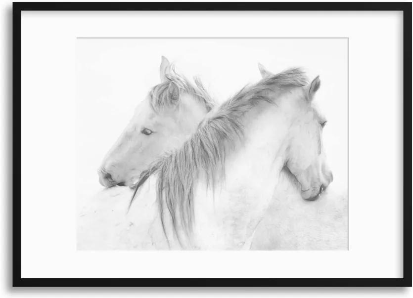 Imagine în cadru - Horses by Marie-Anne Stas 70x50 cm