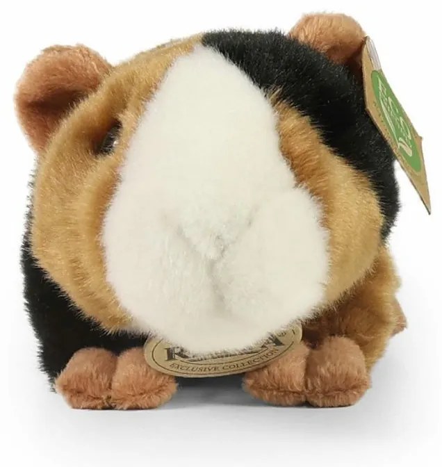 Jucărie de pluș Rappa Porcușor de guineea 22 cm ECO-FRIENDLY