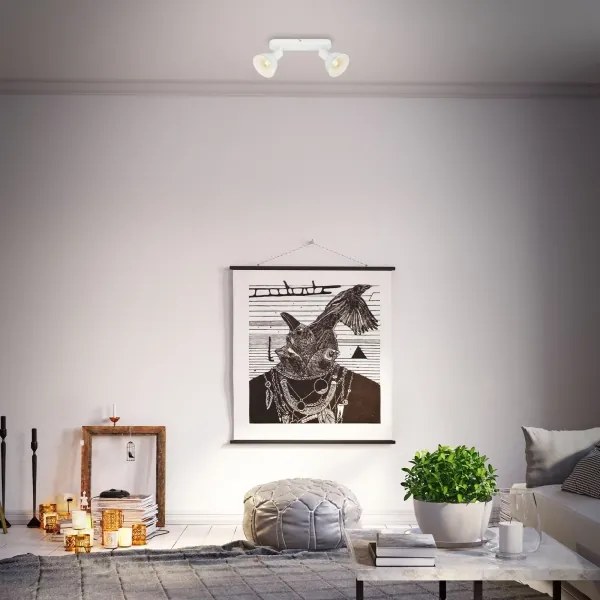 Spot Briloner 2674-026 RETRO 2xE14/25W/230V alb