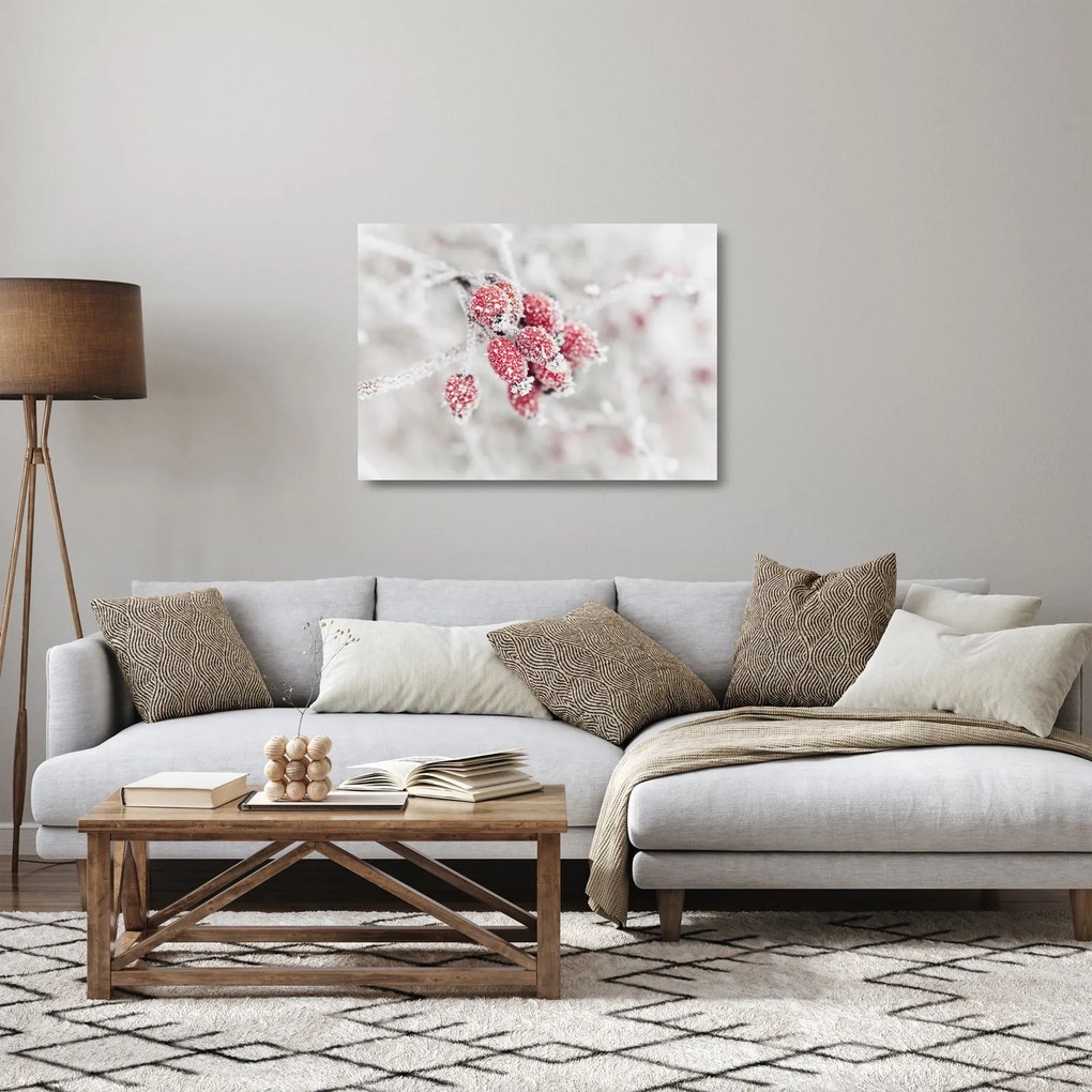 Tablou pe sticlă - Fructe congelate (70x50 cm)