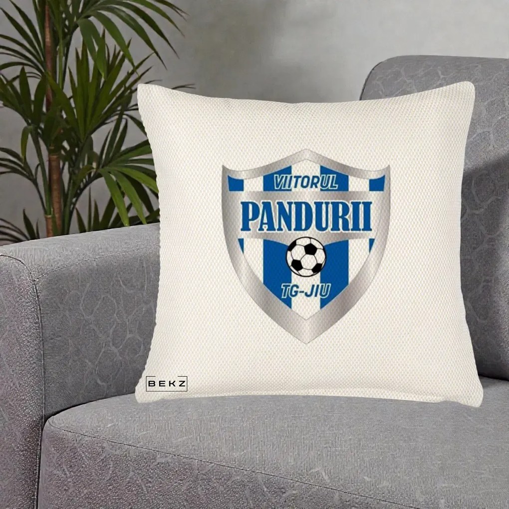 Perna Personalizata Pandurii Targu Jiu Fotbal, 40x40 cm, Crem Reliefat, Husa Detasabila, Perna Inclusa, BEKZ®