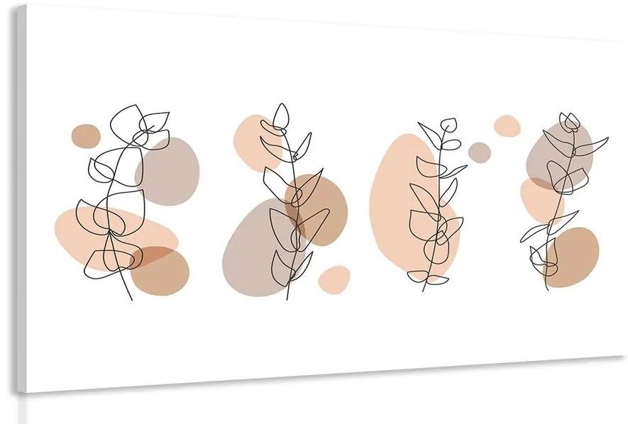 Tablou natura moartă minimalistă ale plantelor