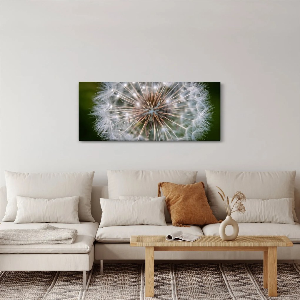 Tablou cu păpădie (120x50 cm)