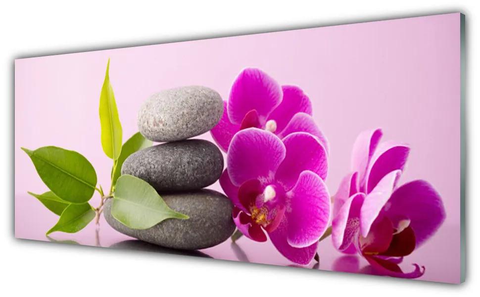 Tablouri acrilice Pietrele de flori Frunze Floral Roz Gri Verde