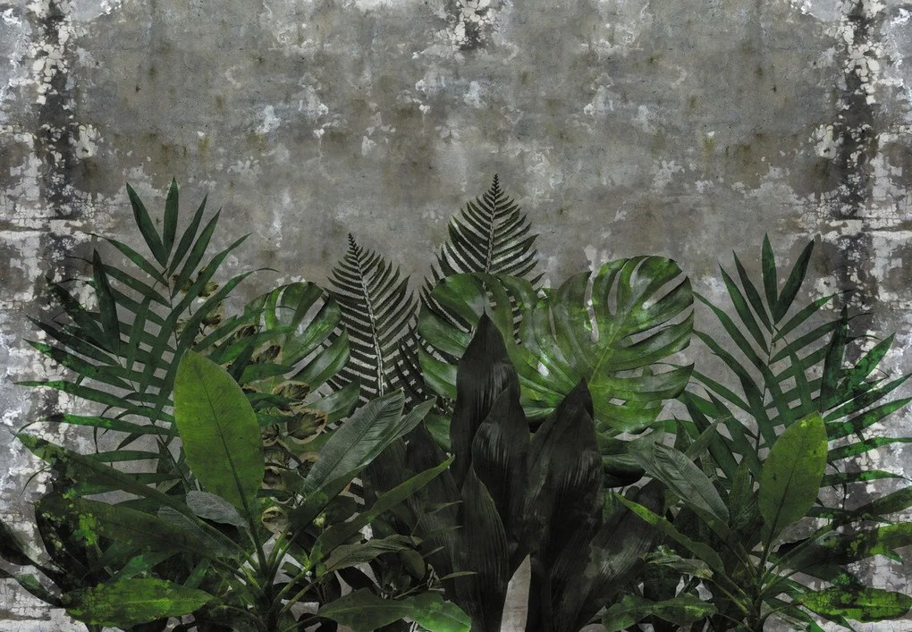 Fototapet - Perete de beton cu plante (147x102 cm)