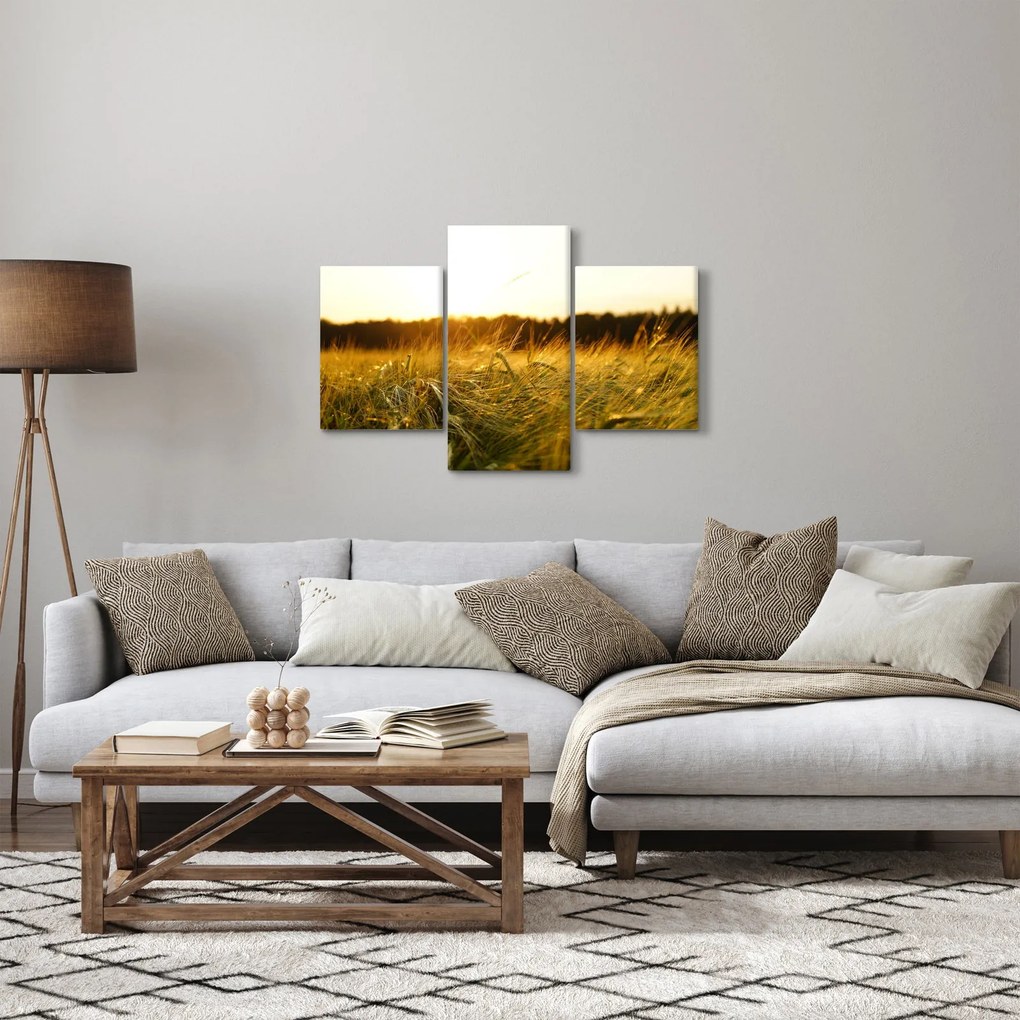 Tablou iarba cu rouă (90x60 cm)