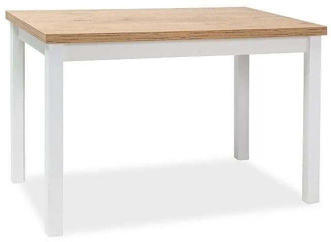 Masa de bucaterie Adam 100 x 60 cm, stejar lancelot / alb