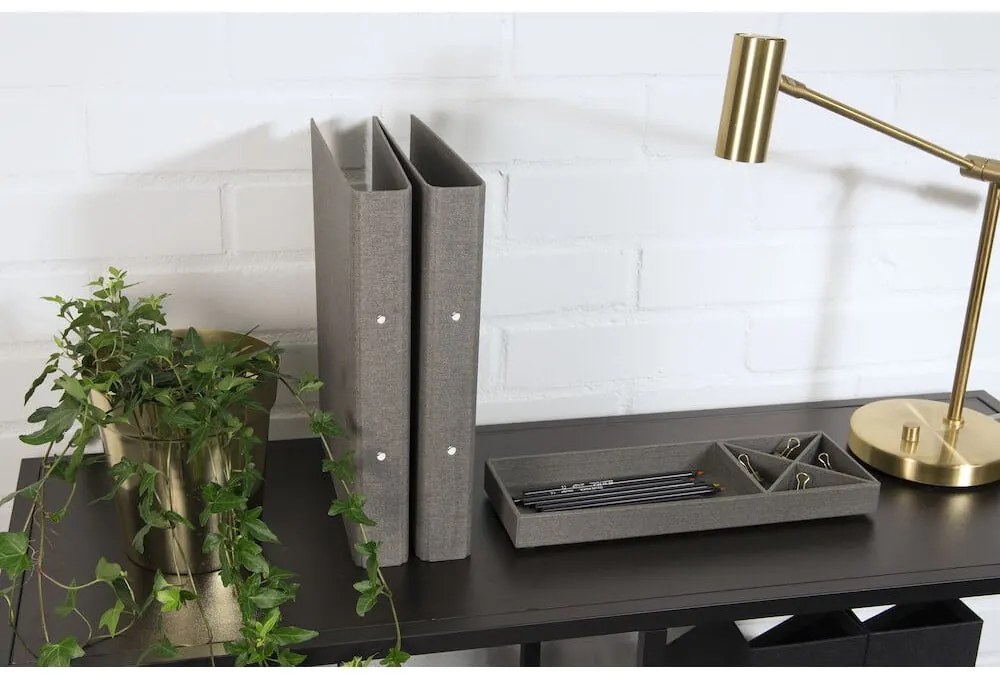 Organizator pentru documente din carton Ringo – Bigso Box of Sweden